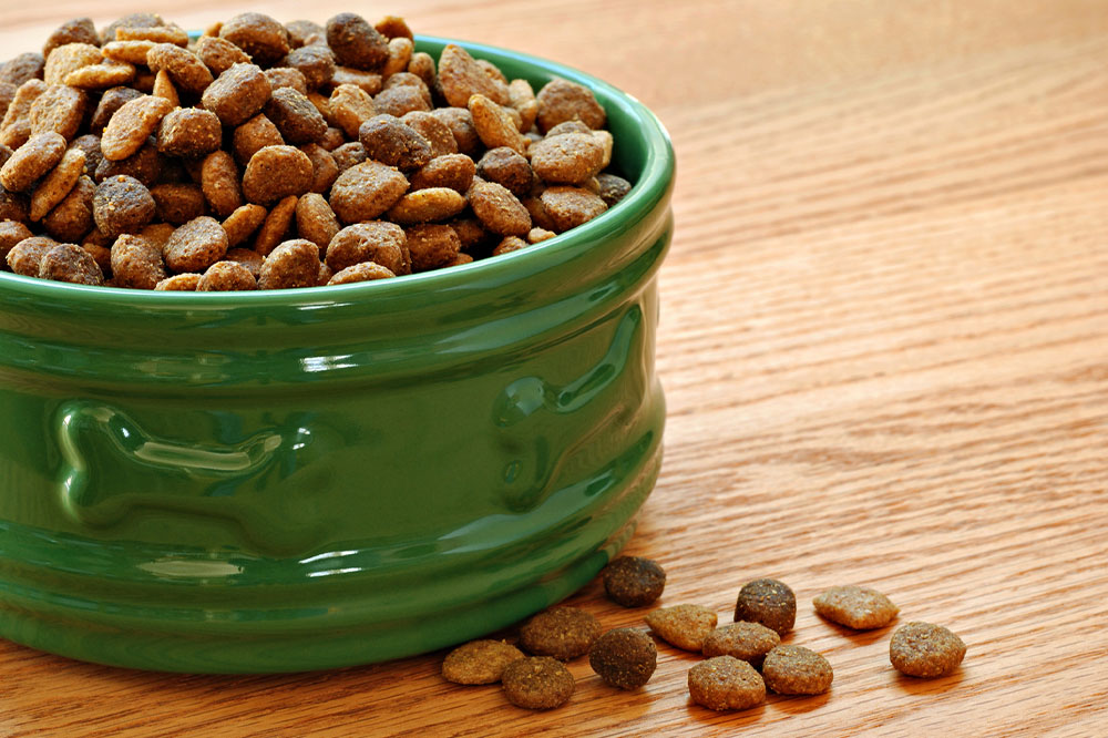 How to Choose the Best Dry Food for Dogs