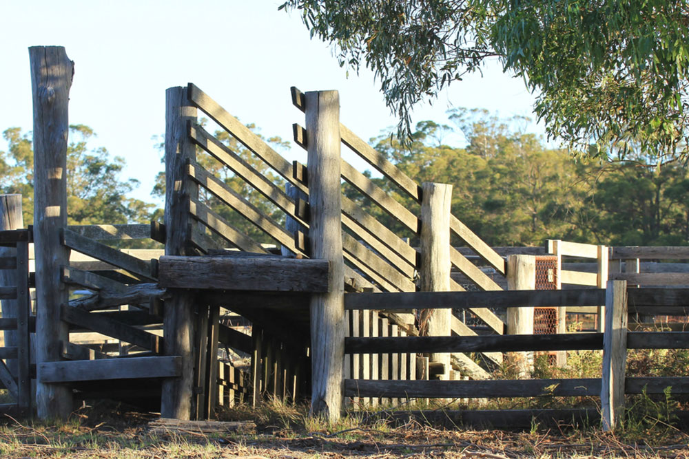 Here&#8217;s what you need to know about yard ramps