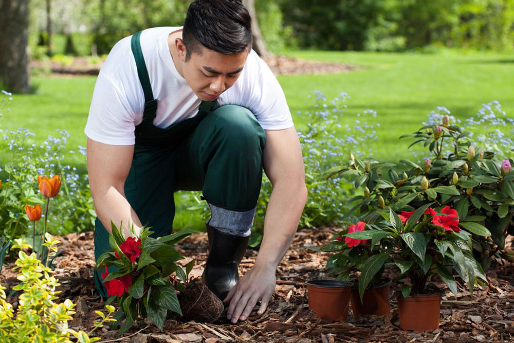 Here&#8217;s what you need to know if you plan to grow flowers in your garden