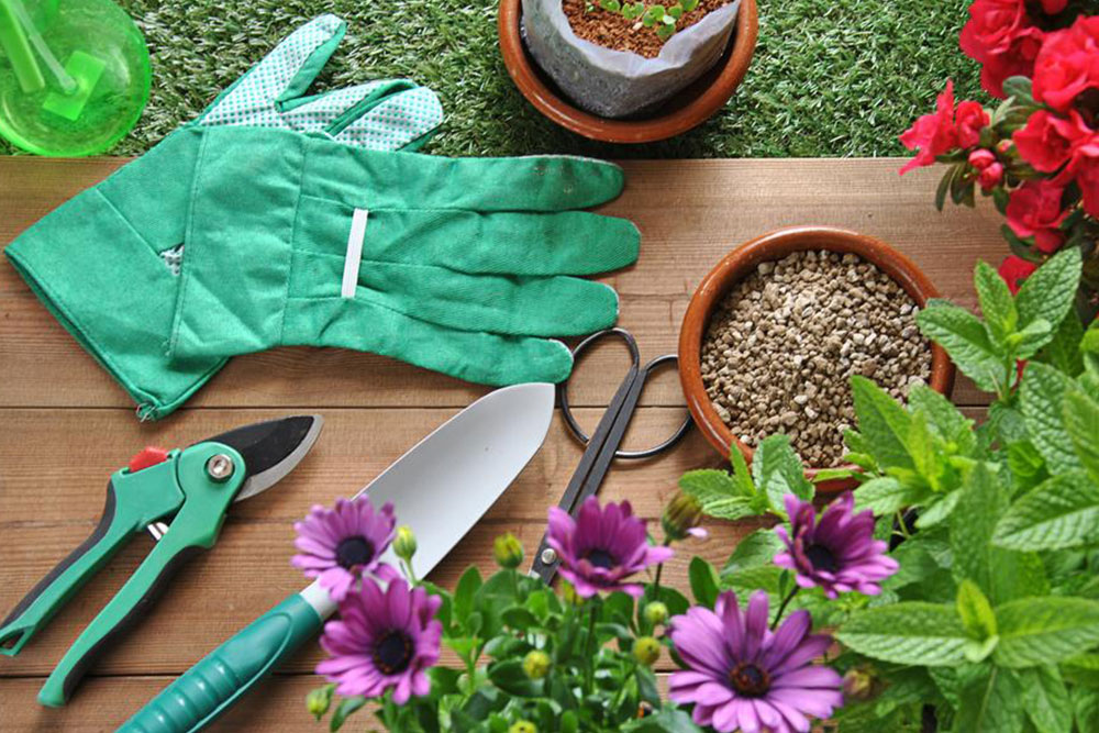 Make your gardening easy and effortless using the right garden tools