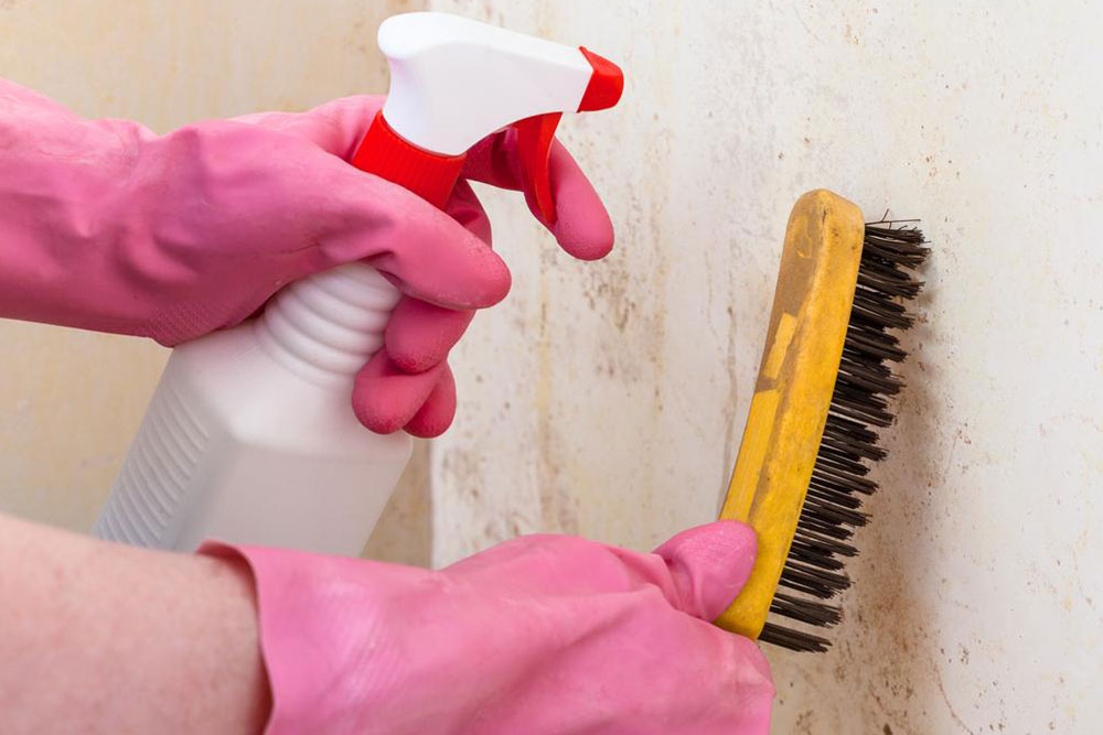 Simple cleaning remedies to ward off mold and mildew growth