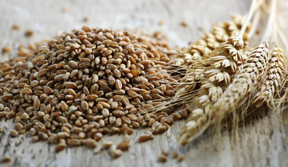 Why You Need to Add Wheat Berries to Your Diet