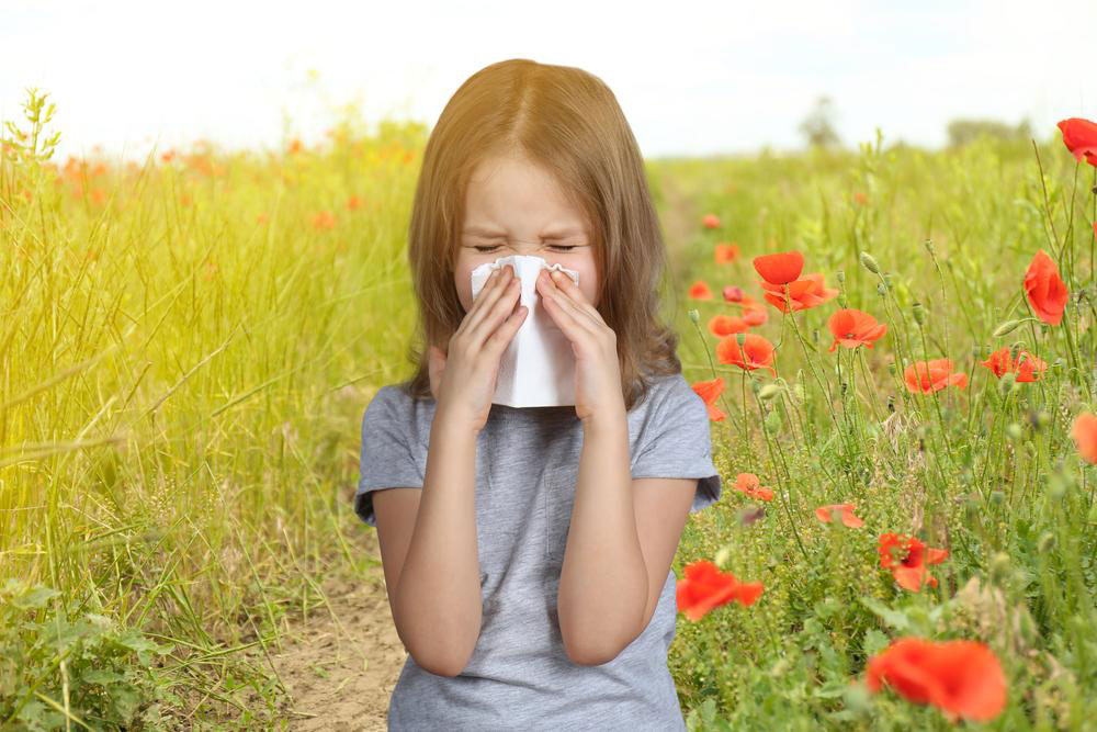 Different Kind of Allergies and Their Symptoms