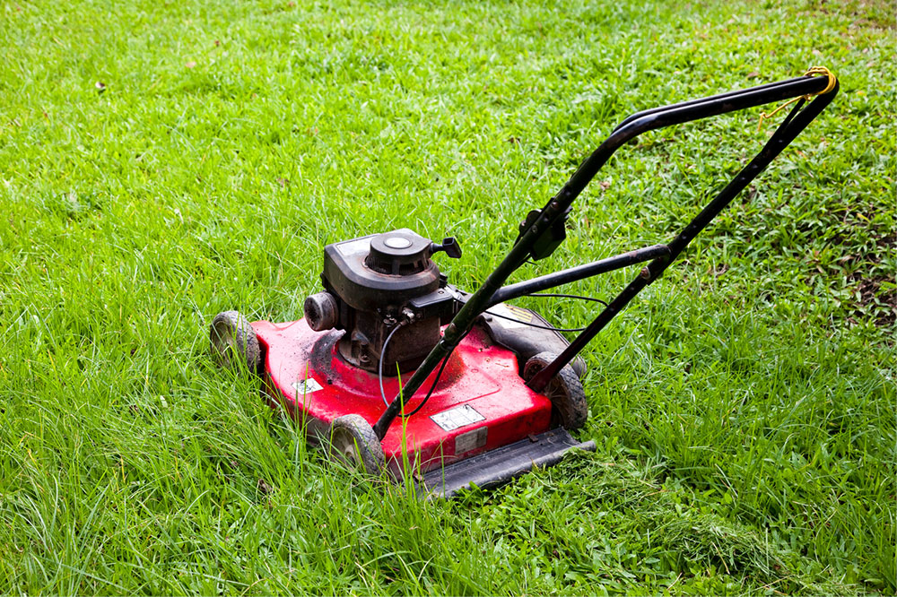 Top 10 Lawn Mower Deals to Expect on Black Friday